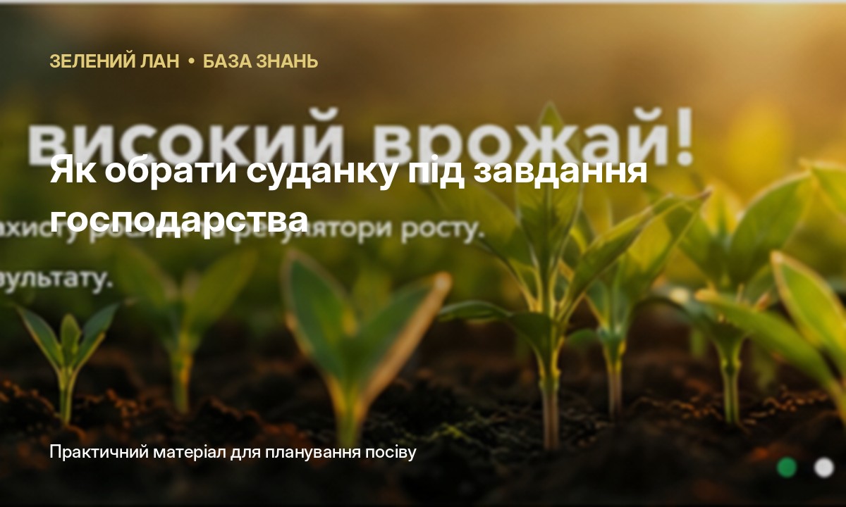 Як обрати суданку під завдання господарства